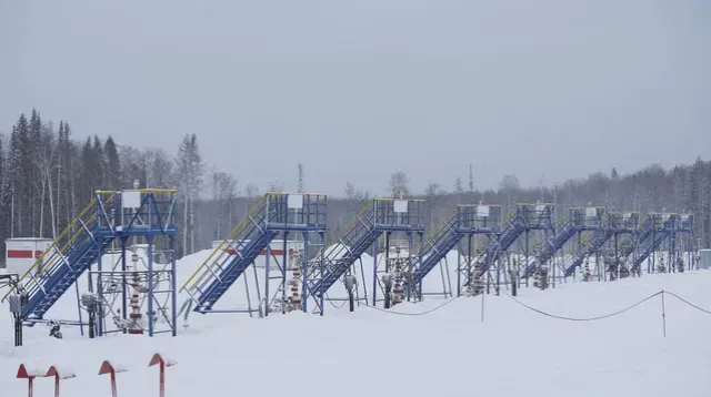 Wellheads on an oil and gas lease near Grande Prairie
